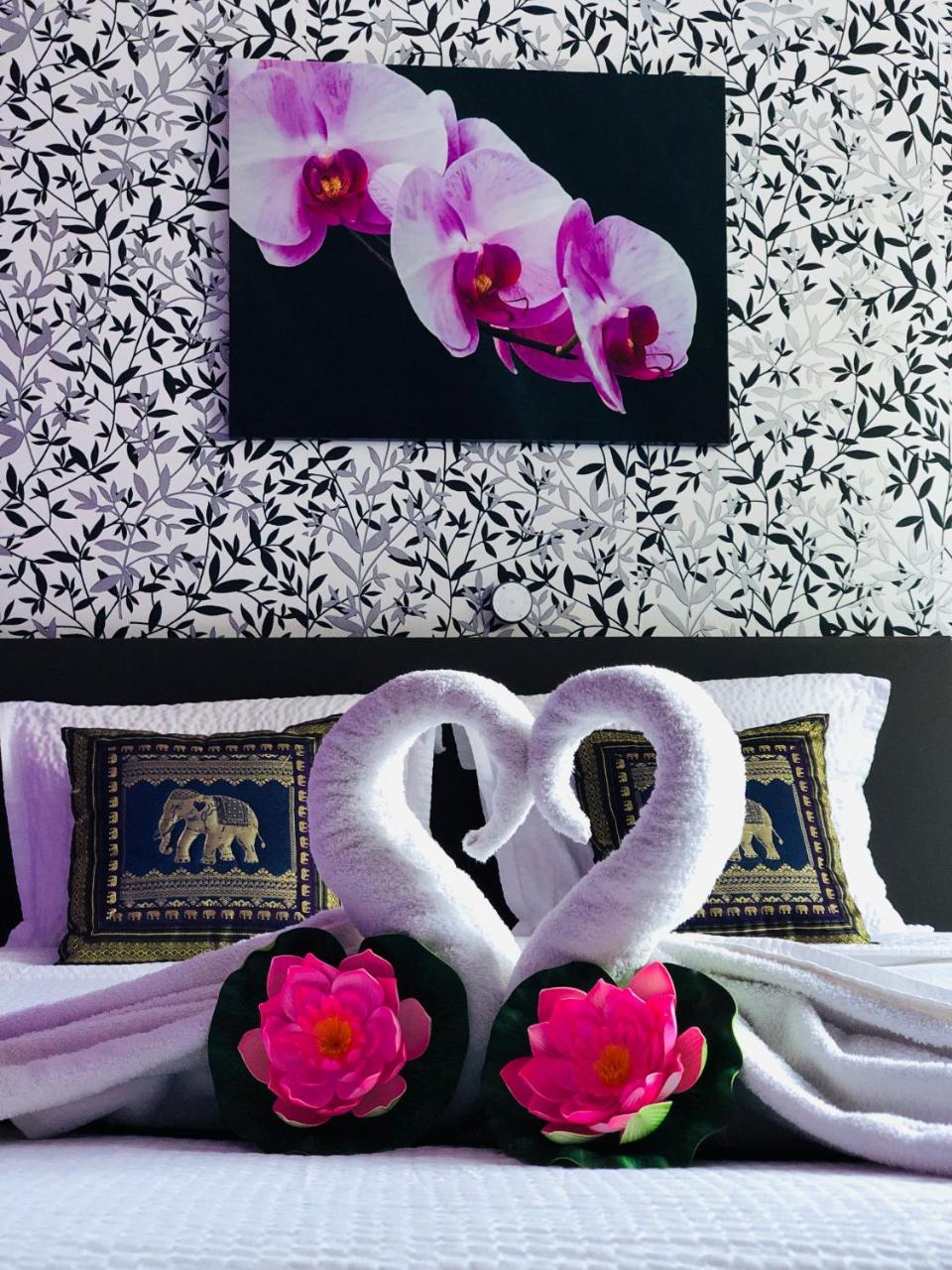 B&B Kookhai Kluisbergen Bagian luar foto